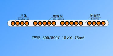 TVVB��о���б��������|