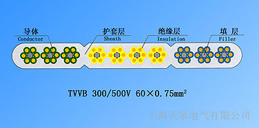 ���늚�TVVB����(y��ng)���нg�������Ў�����